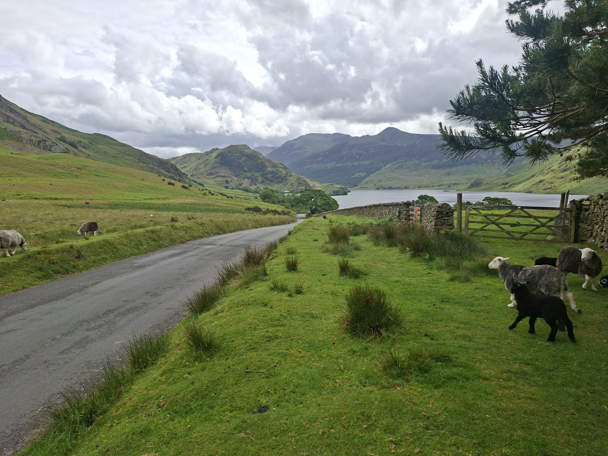 Lake District mountain road